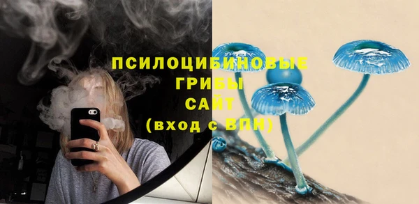 амфетамин Новодвинск