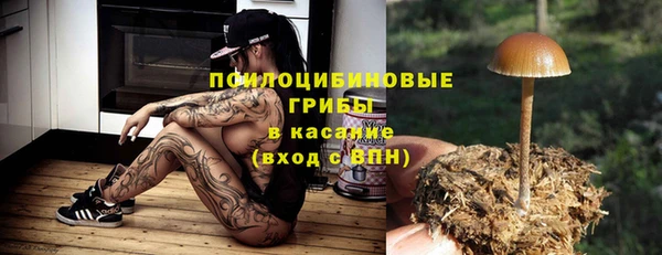 ECSTASY Новокубанск