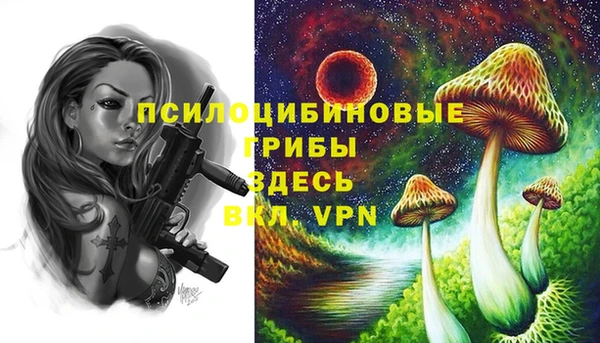 ECSTASY Новокубанск